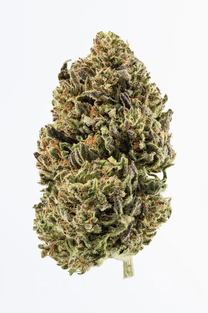 Unveil the Benefits of Suver Haze CBD Flower – High-CBD, Lab-Tested Purity