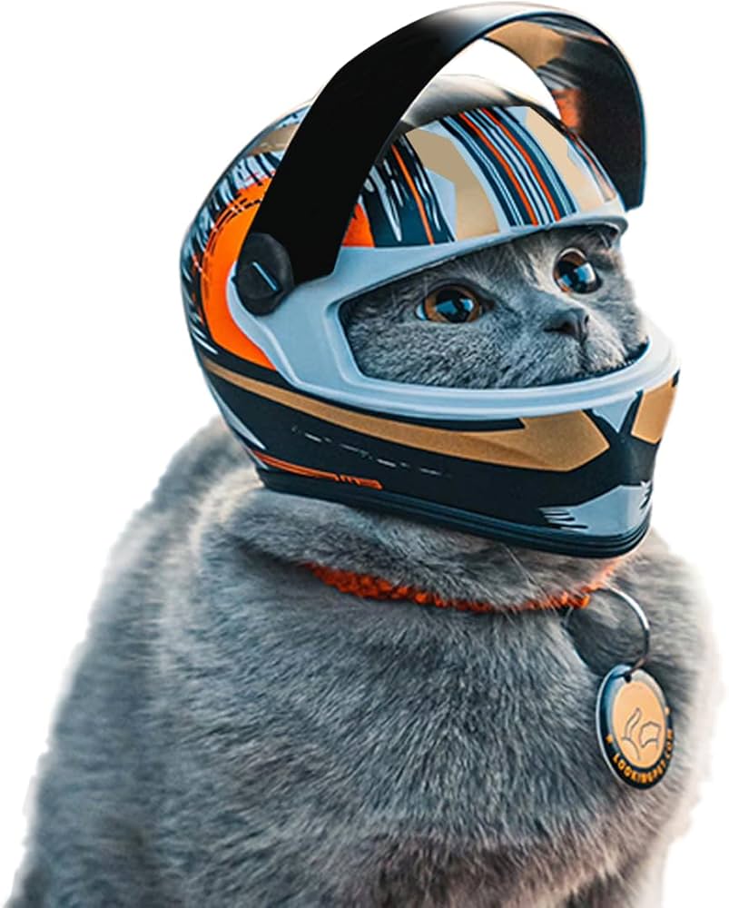 Best Cat Motorcycle Helmets for Safety and Style in 2024