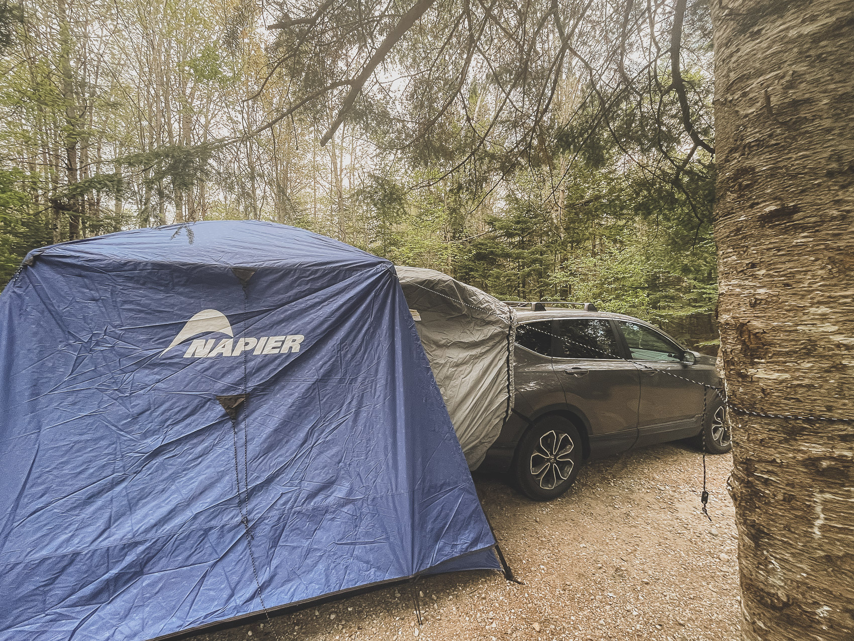 SUV Tent Attachment Reviews: Find Out Which One is Worth Buying