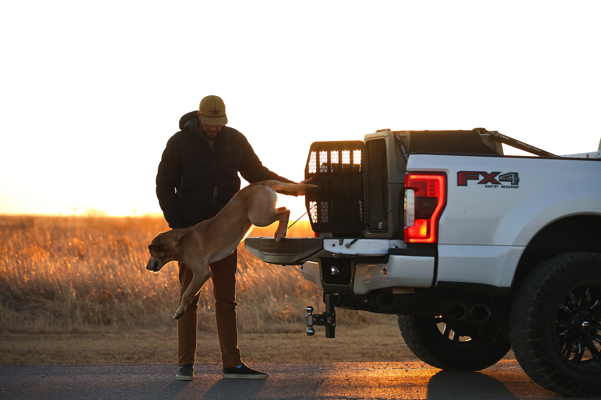 Dog Kennels for Pickup Trucks: Which One is Right for Your Dog?