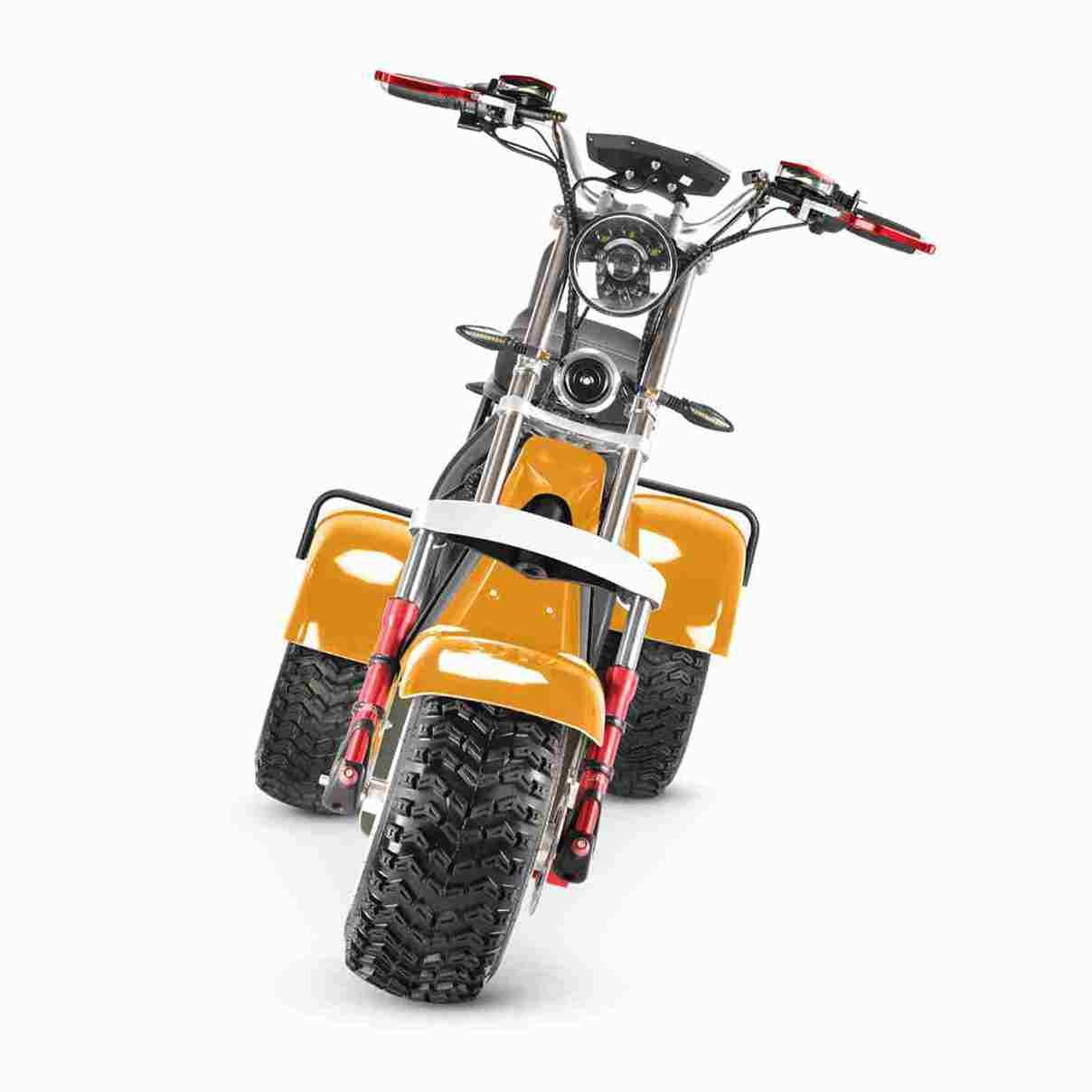 Riding an Electric Motorcycle Adult Citycoco 2000w: All you need to know