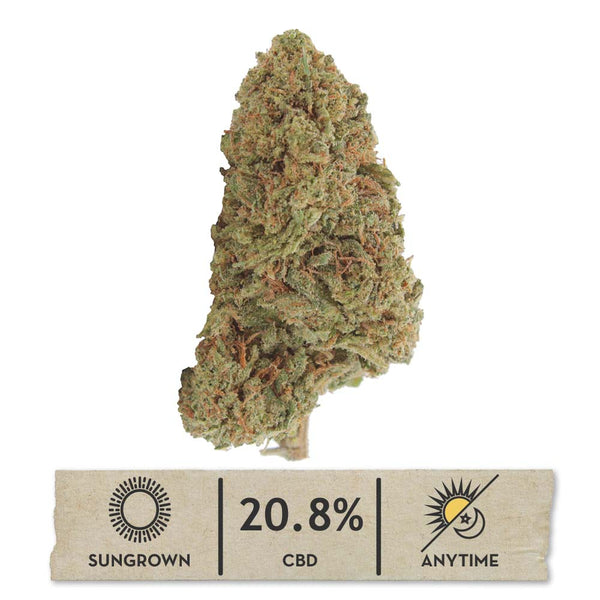 Suver Haze Effects and Benefits (A Complete User Guide Here)