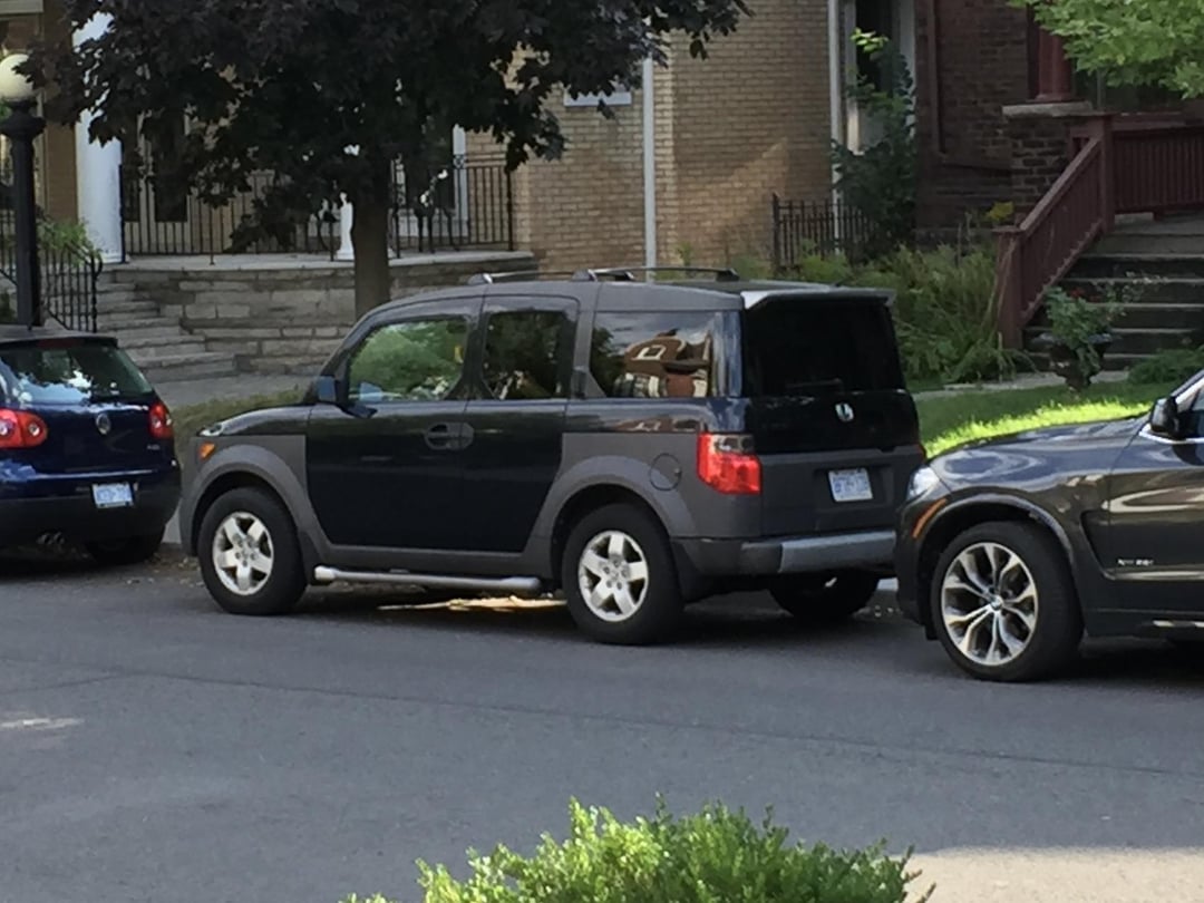 SUVs Similar to Honda Element: Check Out These Great Options!