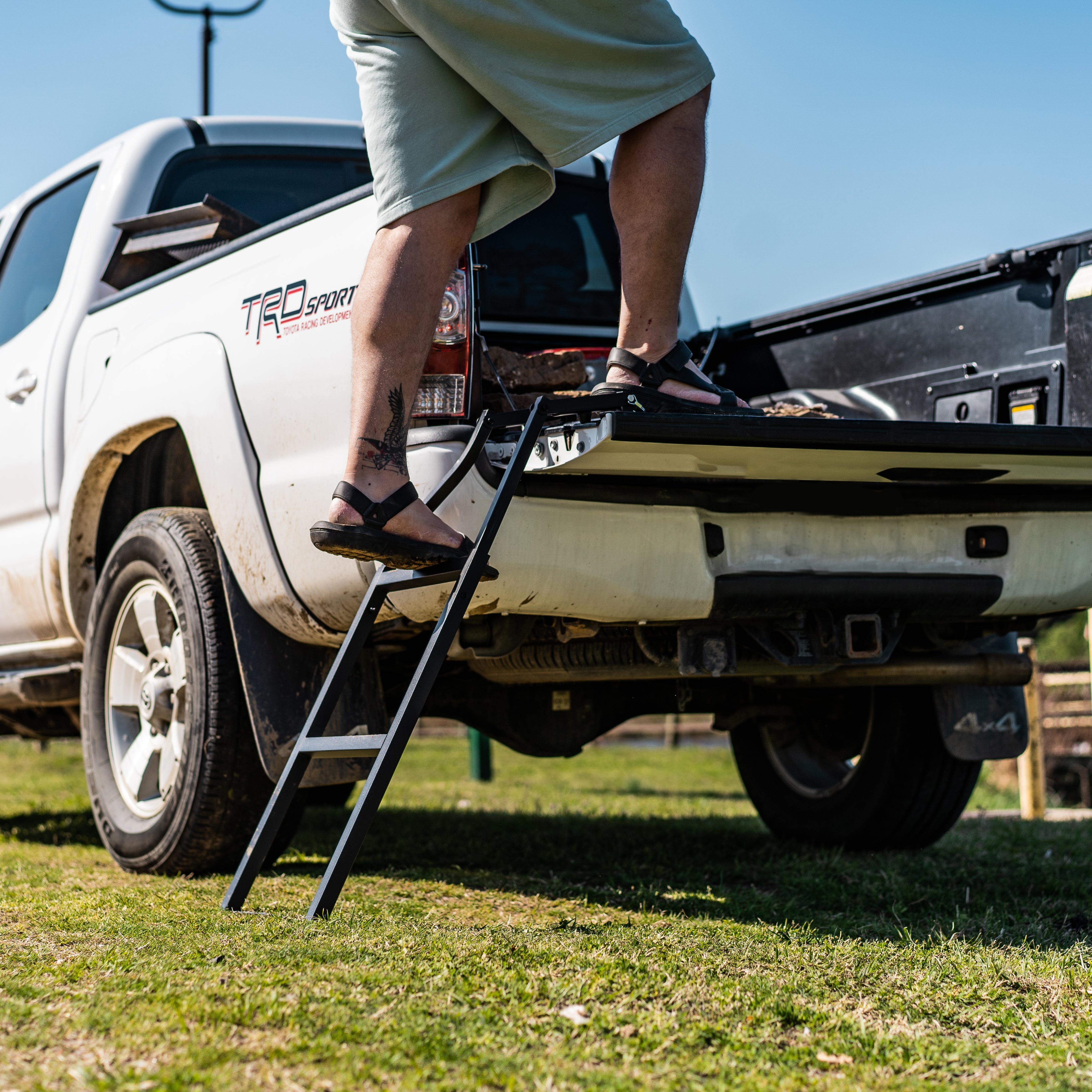 Tailgate Ladders For Pickup Trucks: Which One Is Best?