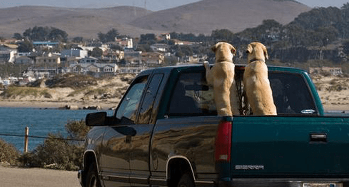 Riding in the Back of a Pickup Truck: Whats the Big Deal? Learn About Safety and Regulations!