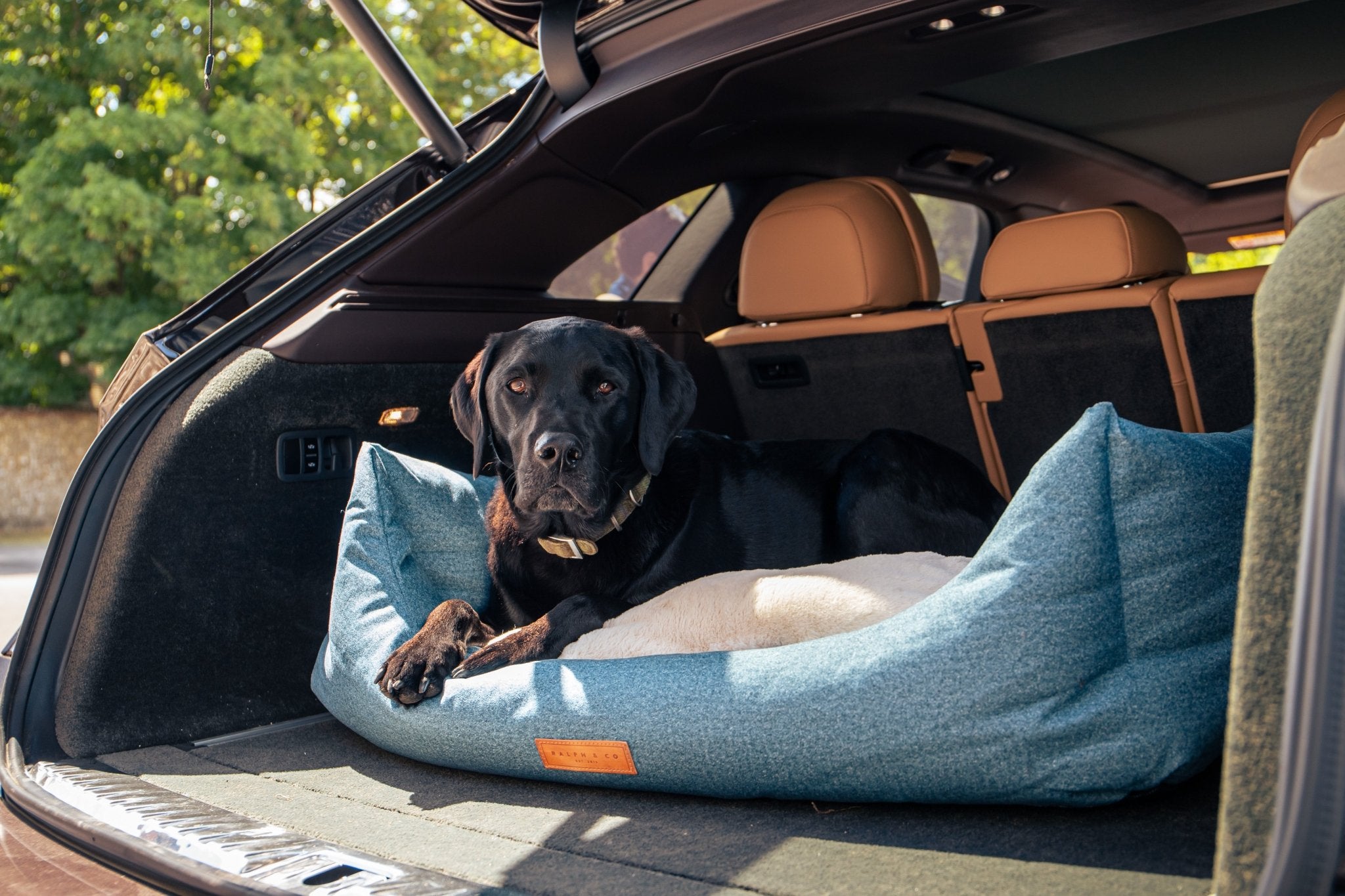 Need an SUV Dog Bed? (Easy Tips for Choosing Durable & Washable Options!)