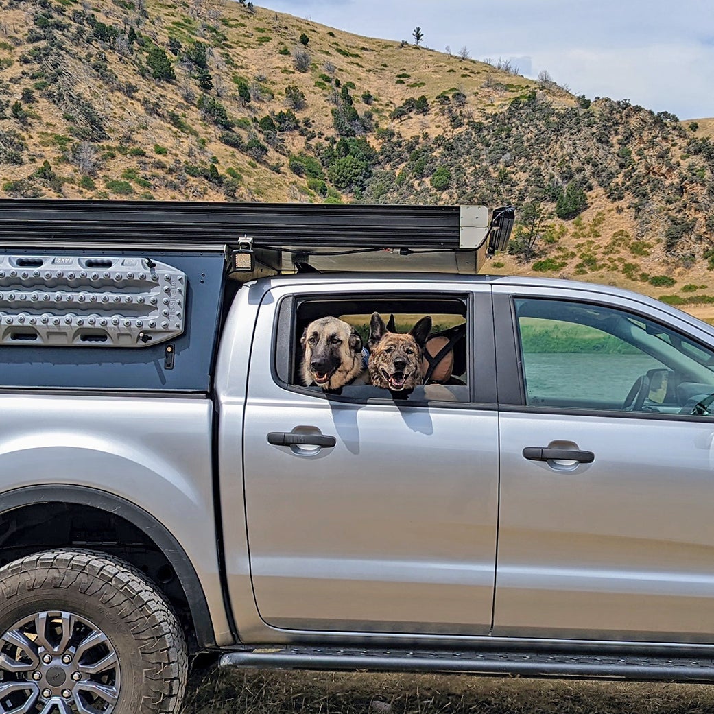 Best Dog Kennels for Pickup Trucks: Safe & Comfy Rides